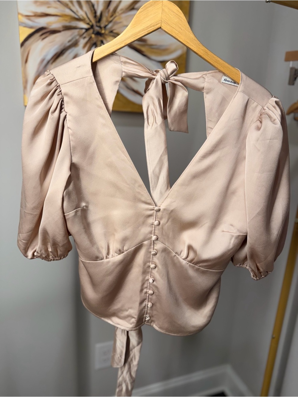 Abercrombie & Fitch Blush Pink Satin Puff Sleeve Tie-Back Blouse